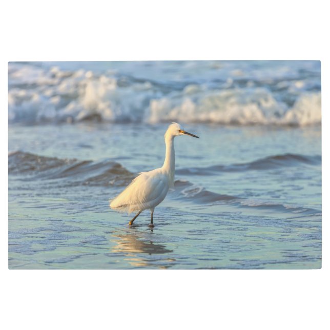 スノーイエーグレット メタルプリント (正面)