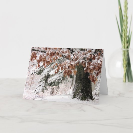 スノーイオーク葉の カード (正面)