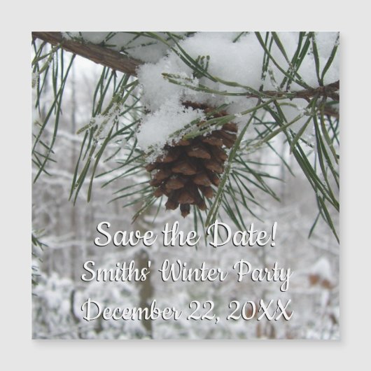 スノーイパインブランチ冬自然撮影 (正面)