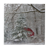 スノーイレッドバーン タイル (正面)