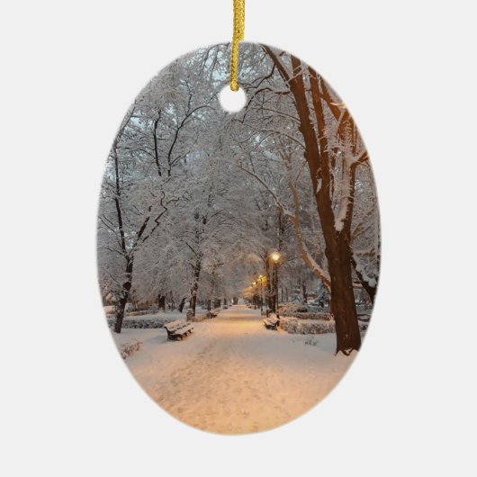 スノーインパークシビウ セラミックオーナメント (正面)