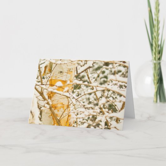 スノーイ樺の木 シーズンカード (正面)