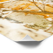 スノーイ樺の木 フォトプリント            (角)