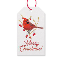 スノーイ（鳥）ショウジョウコウカンチョウ