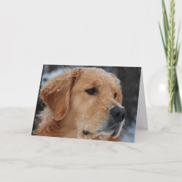 スノーウィアットカード カード