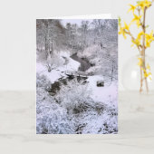 スノーウィータウンブルックプリマスMA カード (黄色い花)