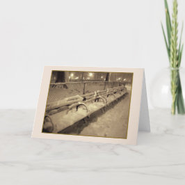 「スノーウィーベンチ」ホリデーカード – クリスマス