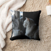 スノーウィーホワイト子猫枕 クッション (ブランケット)