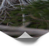 スノーウィー・エグロット・バードポスター ポスター (角)