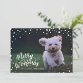 スノーウォフメリーマスハンドレット |休日の写真 シーズンカード (スタンド正面)