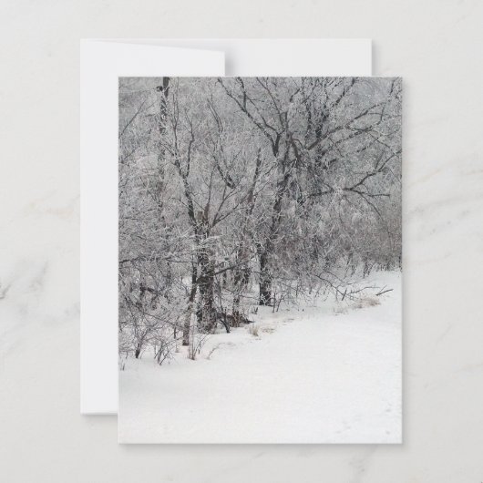 スノーウッズ招待状 招待状 (正面)