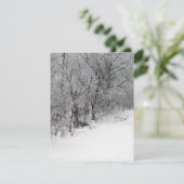 スノーウッズ招待状 招待状 (スタンド正面)