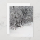 スノーウッズ招待状 招待状 (正面/裏面)