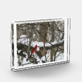 スノーウッズIIの(鳥)ショウジョウコウカンチョウ フォトブロック (左)