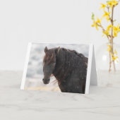 スノーカードに野生のマスタング カード (黄色い花)