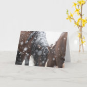 スノーカードに野生のマスタング カード (黄色い花)