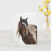 スノーカードの中の野生の髭 カード (黄色い花)