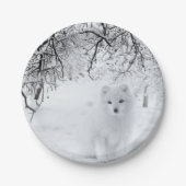 スノーキツネインウィンターウッズ ペーパープレート (正面)