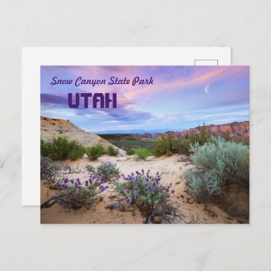 スノーキャニオン州パークユタ ポストカード (正面/裏面)