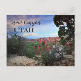 スノーキャニオン ユタ ワイルドフラワーズ ポストカード