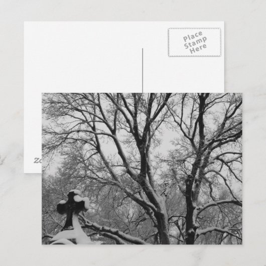 スノークロス ポストカード (正面/裏面)