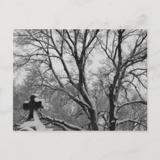 スノークロス ポストカード