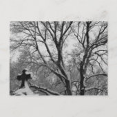 スノークロス ポストカード (正面)