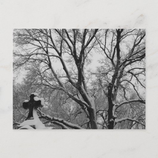 スノークロス ポストカード (正面)