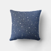 スノーグッドにホリデーアライグマ クッション (裏面)