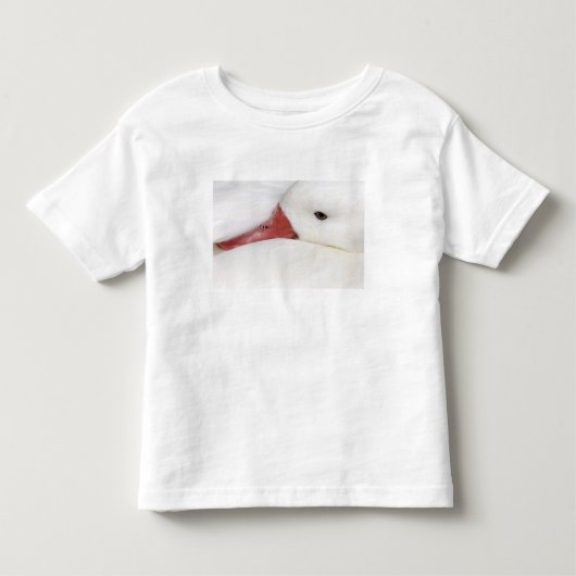 スノーグース Chen caerulescens トドラーTシャツ (正面)