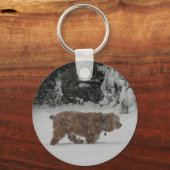 スノーコッカースパニエル犬 キーホルダー (正面)