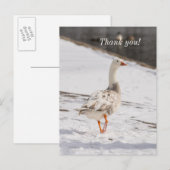 スノーゴースの歩く感謝のポストカード ポストカード (正面/裏面)