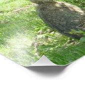 スノーシューのウサギが直立して座っている フォトプリント            (角)