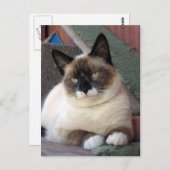 スノーシューをシヴァ ポストカード (正面/裏面)