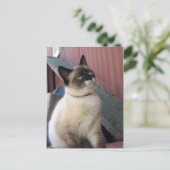 スノーシューを震え上げる ポストカード (スタンド正面)