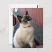 スノーシューを震え上げる ポストカード (正面/裏面)