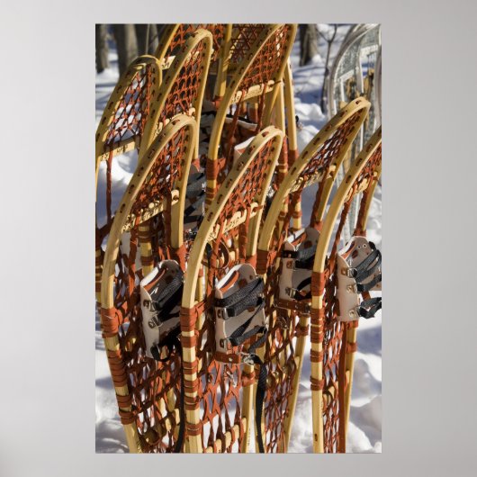 スノーシュークリニック ポスター (正面)