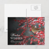 スノーシーンと（鳥）ショウジョウコウカンチョウとウィンターベリー ポストカード (正面/裏面)