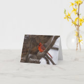 スノーストーム(鳥)ショウジョウコウカンチョウ カード (黄色い花)