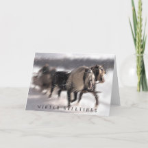 スノースレージ