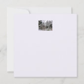 スノーツリーズフラットクリスマスカード カード (裏面)