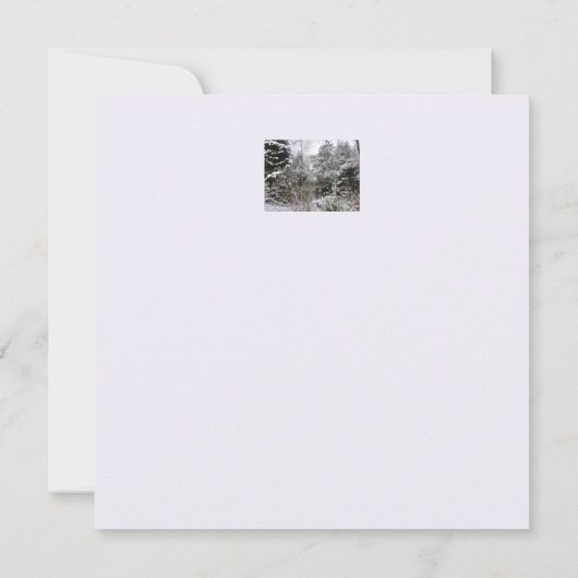 スノーツリーズフラットクリスマスカード カード (裏面)