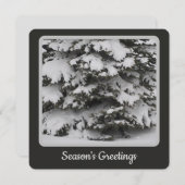 スノーツリーフラットホリデーカード シーズンカード (正面/裏面)