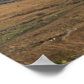 スノーデンノースウェールズのはがき ポスター (角)