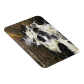 スノードニアウェールズ磁石 マグネット (右側)