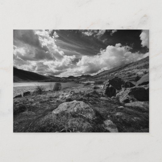 スノードニア ポストカード (正面)