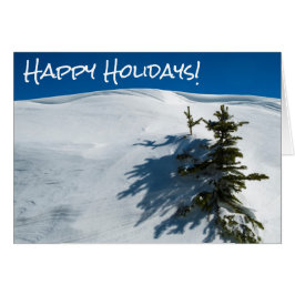 スノードリフトパイン