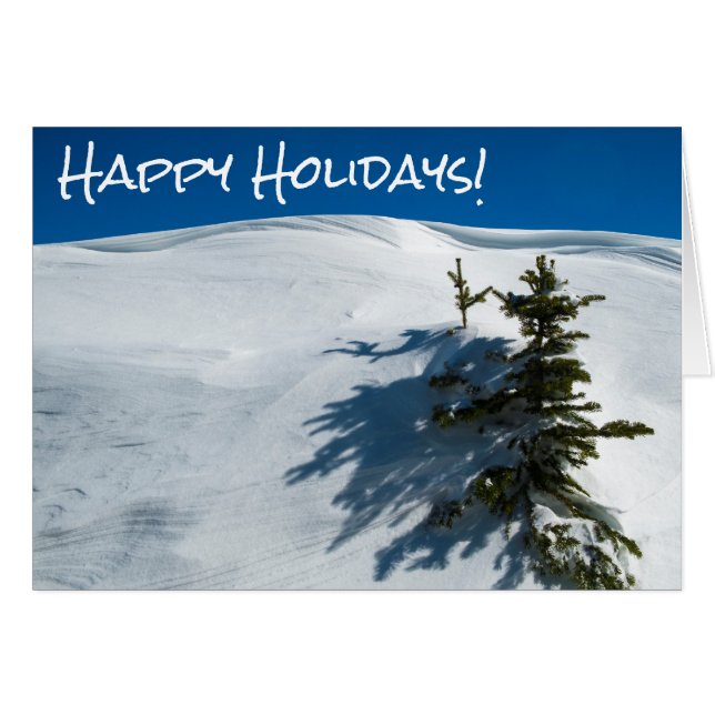 スノードリフトパイン (正面横)