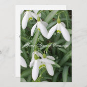 スノードロップの招待状 招待状 (正面/裏面)