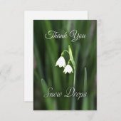 スノードロップの花の感謝カード サンキューカード (正面/裏面)